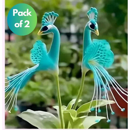 Vibrant Peacock Flower Seeds (Buy1 Get1 Free)
